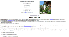 Desktop Screenshot of knieschmerzen.net